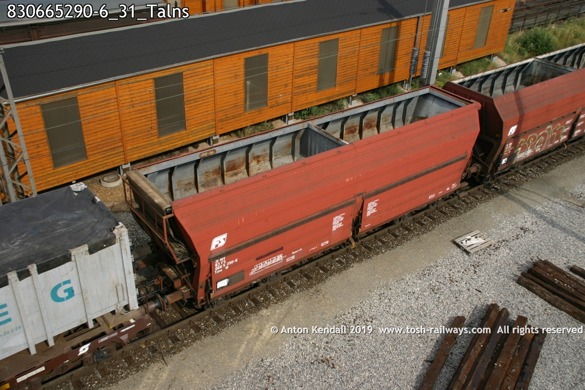 830665290-6_31_Talns.jpg